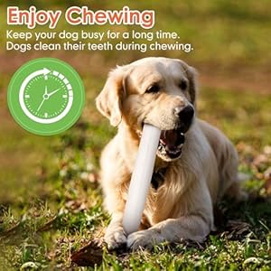 MON2SUN 9 Inch Canine Rawhide Rolls, Tooth Cleansing and Lengthy Lasting Canine Chews for Massive Canine, Single Ingredient and Pure Rawhide Rolls, 26.46oz (6 Depend-Pack of 1)
