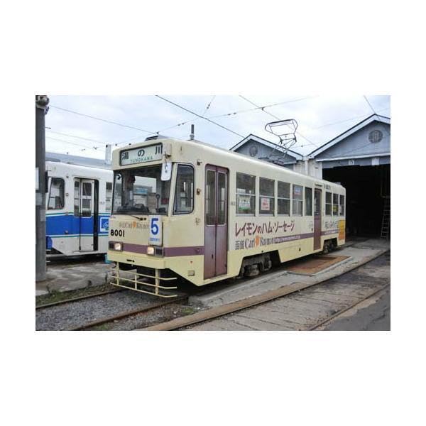 Amazon.co.jp: 函館市電運転席展望DVD : 車＆バイク