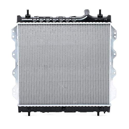 Ridex 470R0182 - Radiatore motore