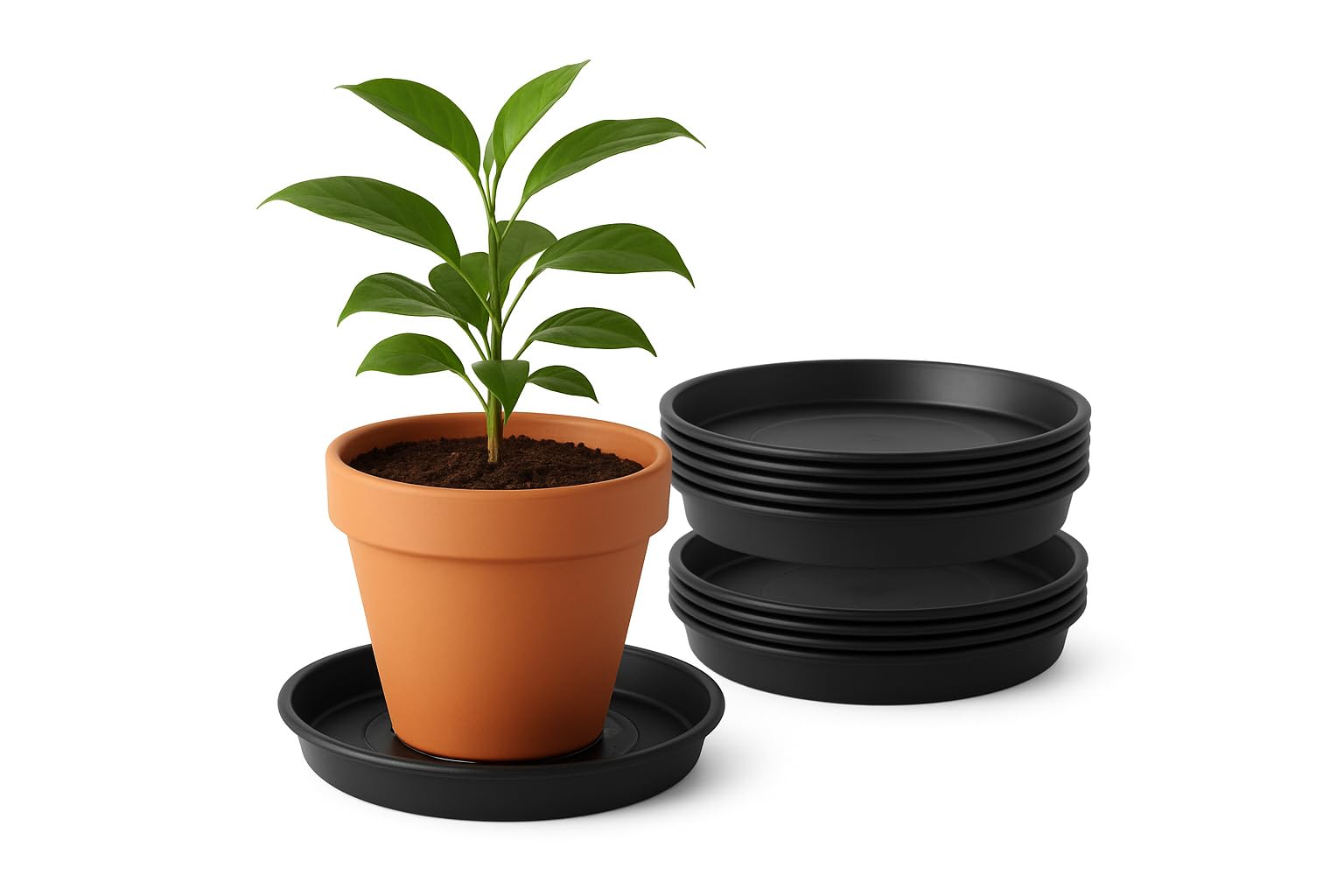 Advanced Farming Black 5 Pack Plant Saucers, Plant Pot Saucer Trays, Garden Saucers Protection For Household Plants - 30Cm (Black)
