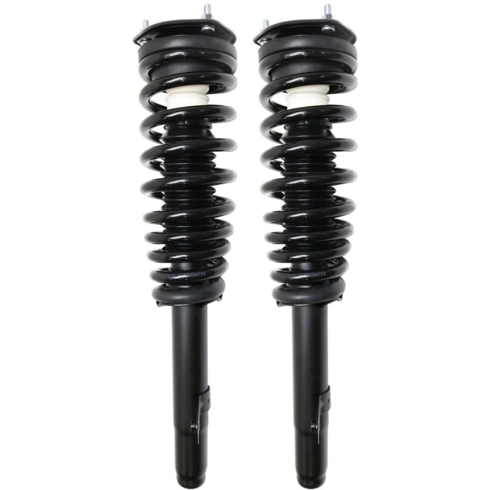 Amazon.com: Pidanida 2 Pieces Front Side Strut & Springs& 