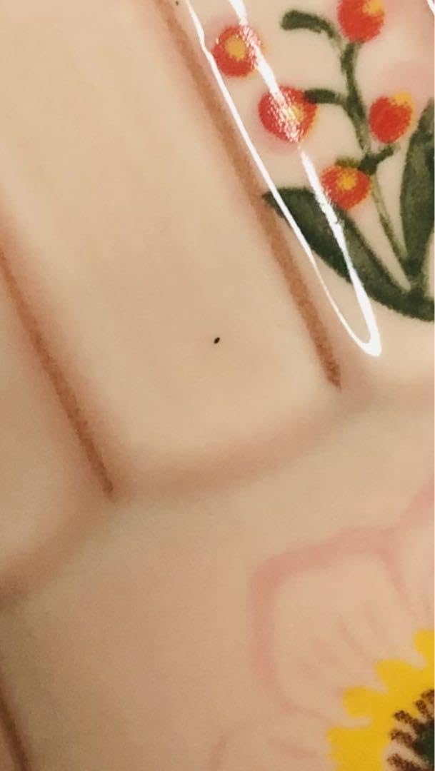 Amazon.co.jp: アンソロポロジー ナタリーレテ コラボ 片手のひら