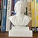 Albert Einstein Bust, Decorative Figure, Office or Home Decor Gift for Einstein Fans 14 cm