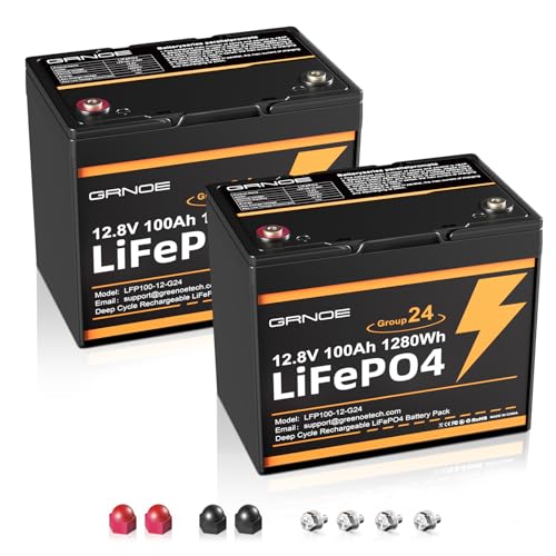 2-Pack 12V 100Ah LiFePO4 Battery, Group 24 Size, Built-in 100A BMS, RV House Battery Set, Lightweight Lithium Replacement,Ideal for RV, Solar, Marine, Trolling Motor, Off-Grid