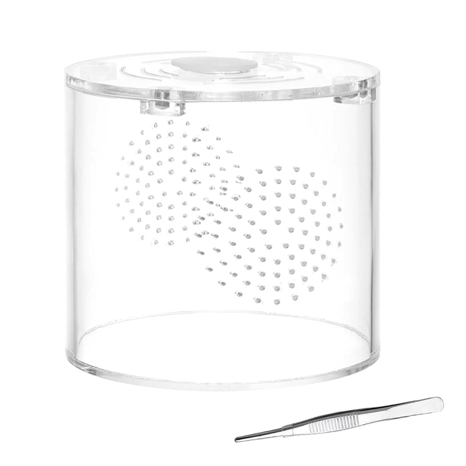 Reptile Terrarium 4x4x4in Acrylic Escape Proof Ventilation Stackable