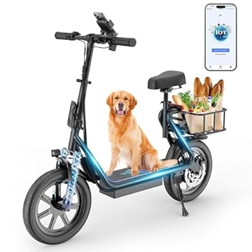 electric scooter with seat