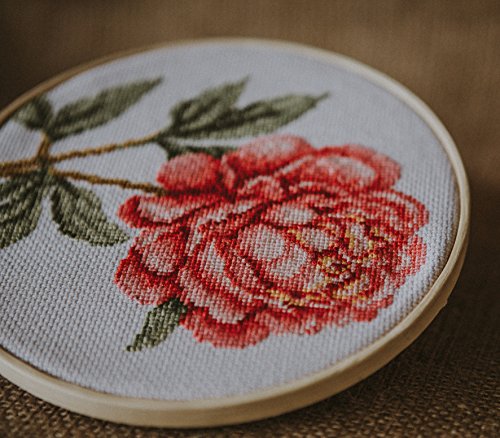 Counted Cross Stitch Kit 'Pink Peony' Flowers, 5.1