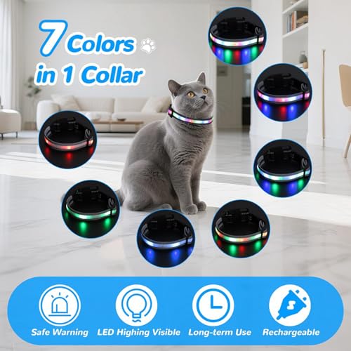 2X Collar para gatos iluminado LED impermeable recargable con mando remoto 4