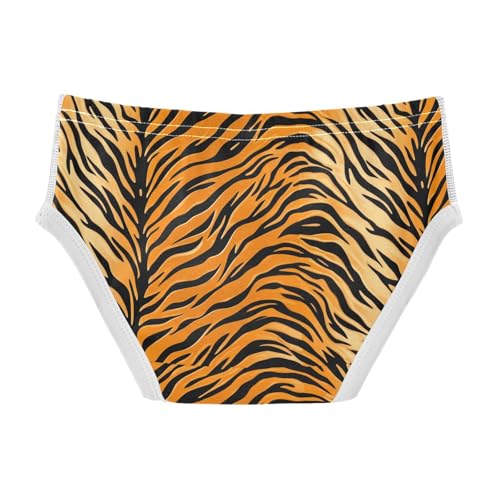 Tiger Fur Toddler Boy's Underwear 2T 202c18722