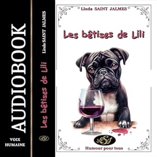 Couverture de Les b&ecirc;tises de Lili