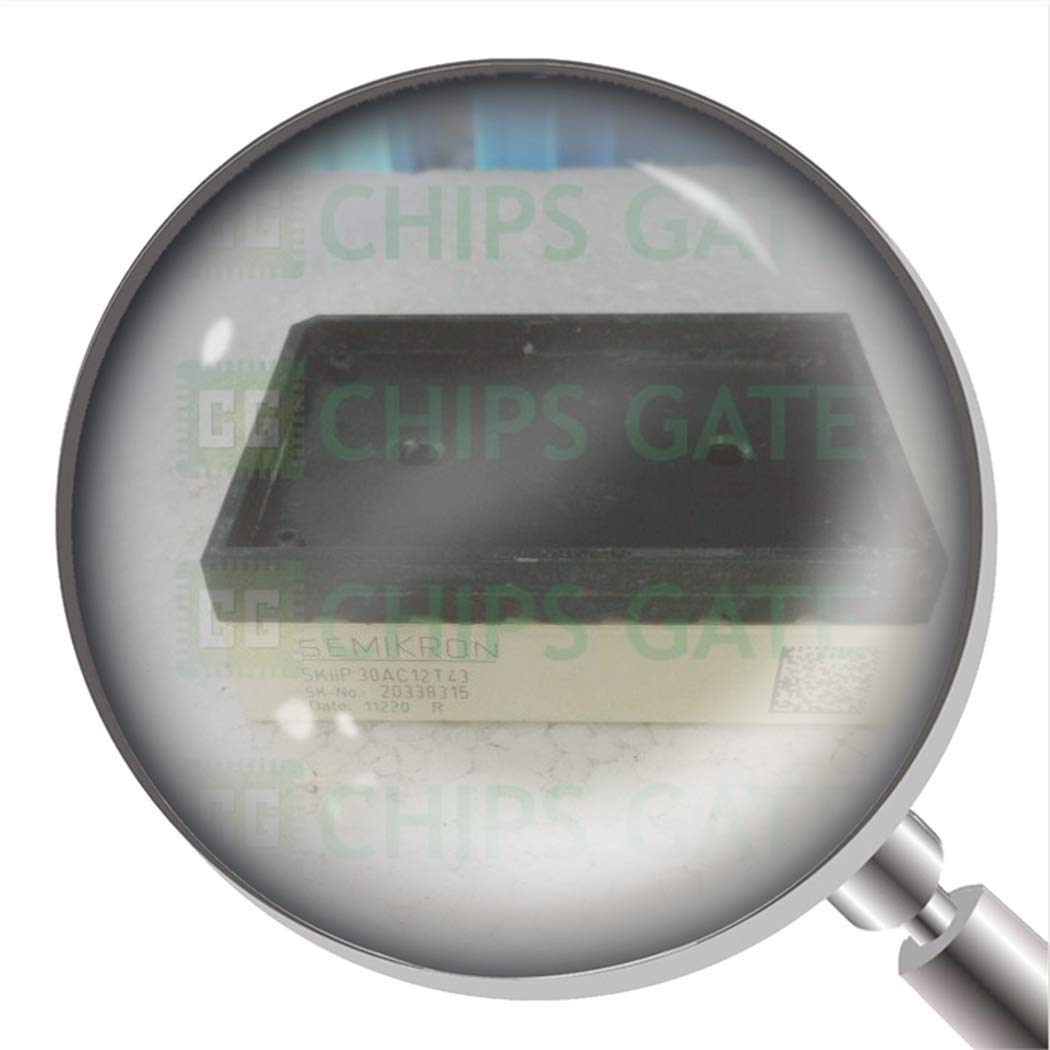 SKIIP30AC12T43 1Pcs New SKIIP30AC12T43 Igbt Module