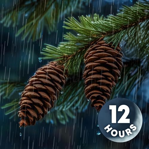 Rain & Nature Sounds Help You Sleep | 12 Hours Podcast Por  arte de portada