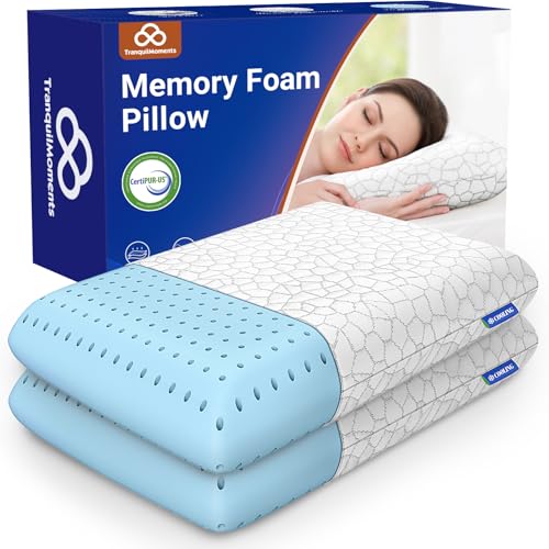 Set 2 Almohadas Espuma Viscoelástica Estándar Gris