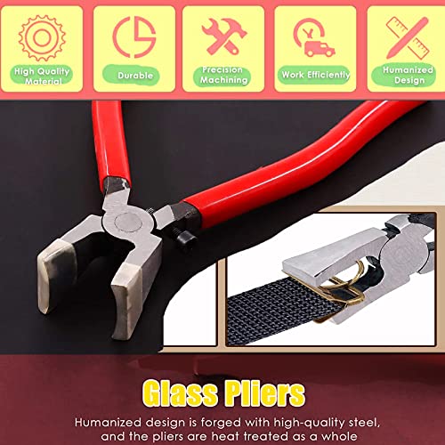 NAMIC Pinze da Corsa in Metallo e Vetro con Pinze