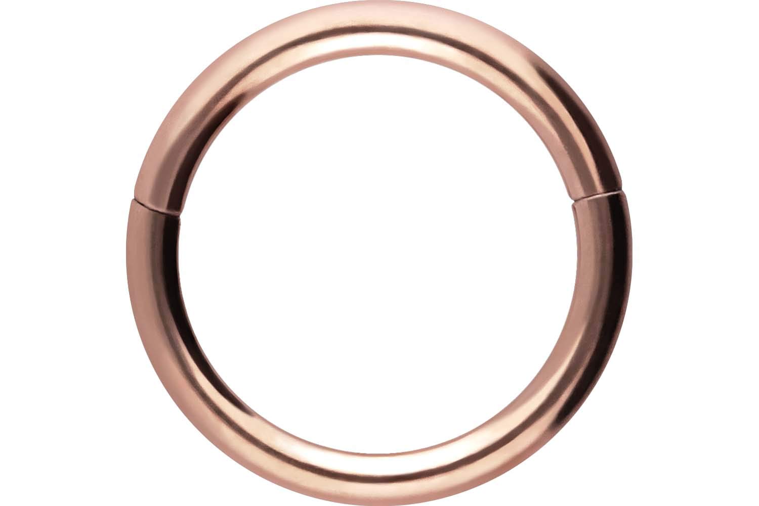 PIERCINGLINE Anillo segmento Clicker de acero quirúrgico – Piercing en oro, plata, rosa, negro o azul – para nariz, tabique, oreja, hélice o tragus — view 113