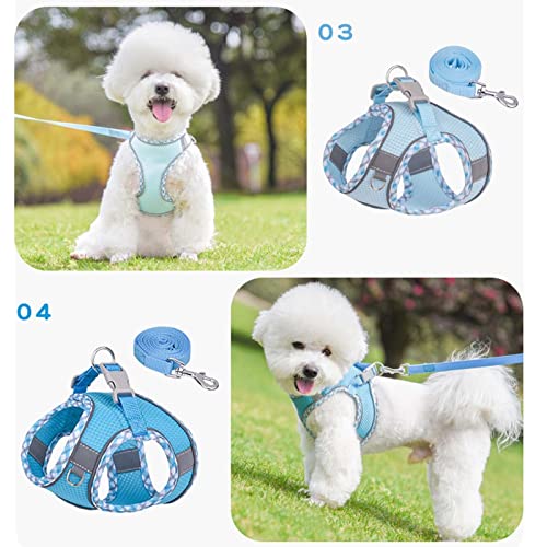 Factorys Hundegeschirr für kleine, mittelgroße und große Hunde, kein Ziehen, Welpengeschirr und Leine-Set, Verstellbar, Mint Green, Turquoise, XXS, Fischgrätmuster