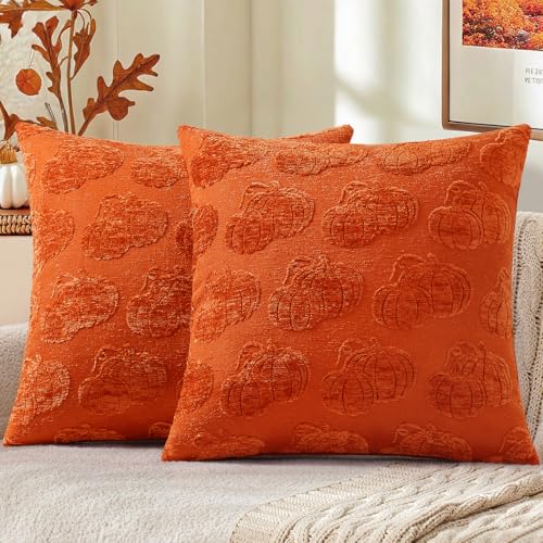 Image of decorUhome Decorative Two Rust Pumpkins Thanksgiving Throw Pillow Covers 18x18 Set of 2, Soft Chenille Jacquard Farmhouse Textured Pillow Covers for Couch Bed Sofa Autumn Harvest Halloween Holiday
