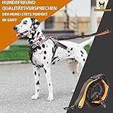 Hundefreund Joggingleine für große Hunde ab 15 kg | Elastische Freihandleine mit leichtem Bauchgurt | Abnehmbare Hundeleine mit 2 weichen Schlaufen | Orange Laufleine (120 cm, dehnbar bis 170 cm)