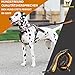 Hundefreund Joggingleine für große Hunde ab 15 kg | Elastische Freihandleine mit leichtem Bauchgurt | Abnehmbare Hundeleine mit 2 weichen Schlaufen | Orange Laufleine (120 cm, dehnbar bis 170 cm)
