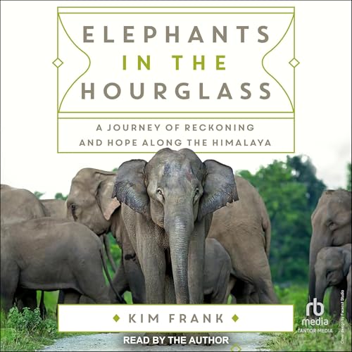 Elephants in the Hourglass Audiolibro Por Kim Frank arte de portada