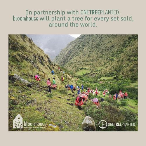 Oprahs-Favorite-Things-Santorini-Mist-Double-Bowl-Terracotta-Reactive-Glaze-Plates-and-Bowls-Dinnerware-Set-Amber-Service-for-Four-16pcs