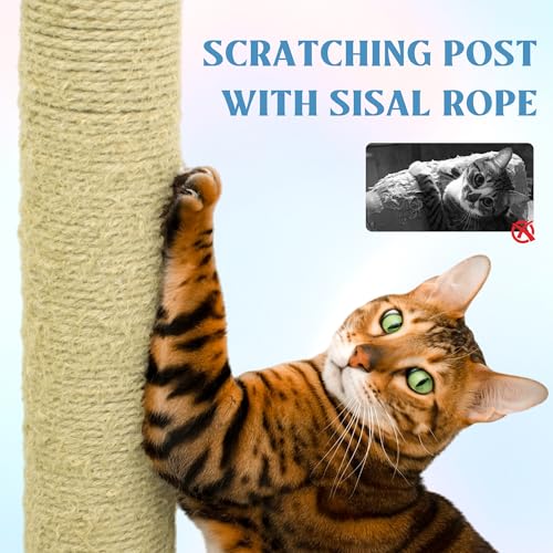 Montary Torre para Gatos de 71 Pulgadas Multi-Nivel Azul y Rosa miniatura 6