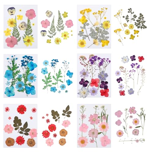 Kit artesanal con 130 flores prensadas secas y stickers miniatura 5