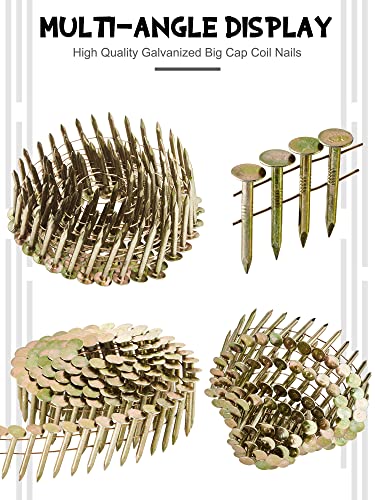 Sadnyy IG-SADNYY-1241 600 Count Coil Roofing Nails 3/4-1-1/4 In 15 Degree Coil Roofing Nails Stainless Steel Siding Nails thumb #1