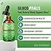 Gluco Vitalis Drops, Official GlucoVitalis Blood Formula Support Liquid Drops - Maximum Strength, All Natural to Support Stable Levels, Energy and Circulation, Gluco Vitalis Gotas Reviews (3 Pack)