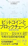 いまさら聞けないビットコインとブロックチェーン 最新改訂版 (ディスカヴァー携書)