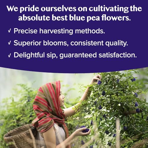Image of VAHDAM, Butterfly Pea Flower (15 Pyramid Bags) Vegan, Non-GMO | Delicate & Earthy | Direct From Source - Plant-Based Biodegradable | Brew Iced Tea, Cooking, Mocktails & Cocktails