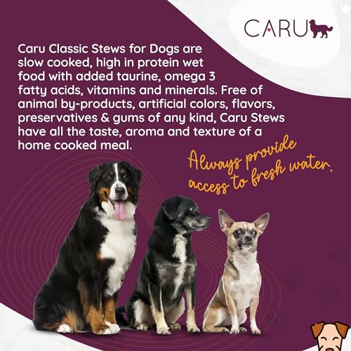 Image of Caru Classics Beef Stew for Dogs - Healthy Wet Dog Food or Food Topper - Balanced Omega Blend - 12 oz Cartons - Pack of 4