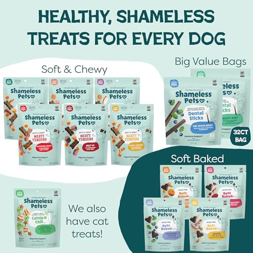 Image of Shameless Pets Blueberry & Mint Dental Chews for Dogs, 8 Chews - Natural Dog Teeth Cleaning Treats with Fresh Breath Benefits | Grain-Free Dental Sticks for Small, Medium & Large Dogs