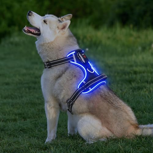 Leuchtendes Hundegeschirr, Colaseeme Light Hundeweste mit reflektierenden Streifen und verstellbarem Geschirr, LED-Hundelicht wiederaufladbar für kleine, mittelgroße und große Hunde (Grün,XS)