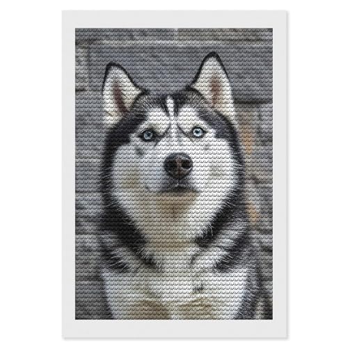 Kit de peinture diamant 5D husky et strass ronds pour adulte débutant