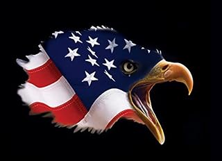 Prophetic Intercessor - America Worship Flag - L-QUILL (54"x40) - Flexible Flow Rod- (Single - 1 flag)