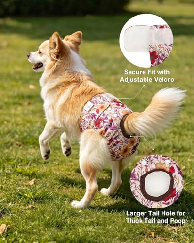 Image of CuteBone Dog Diapers Female Washable Small Medium Large 3 Pack Reusable Doggie Diapers Puppy Period Pants for Doggy Heat Cycle Peeing