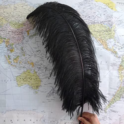 MUPUKKR Plumes d'autruche teintées de Couleur Rouge de première qualité, de 50 cm à 70 cm de Long.