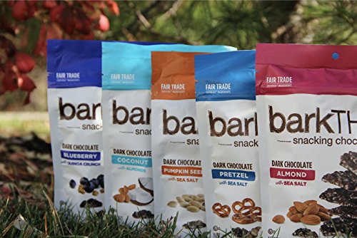Barkthins Snacking Dark Chocolate, Peanut With Sea Salt, 4.7 Ounce (Pack Of 6) #TOP5