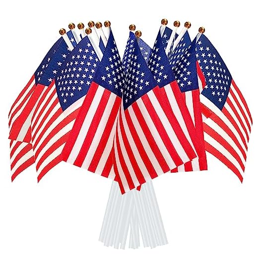 AhfuLife Petit Drapeau Americain - 15Pcs Mini Drapeaux USA avec Poteau Solide Blanc 30cm pour Décoration JO 2024, Élection 2024, Jour de l'Indépendance, Procession, Memorial Day