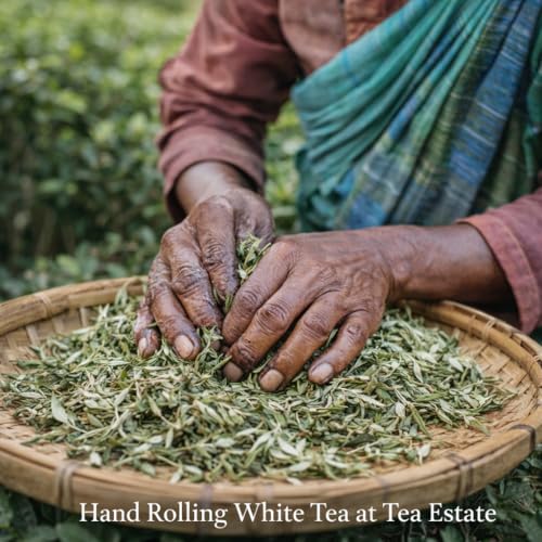 Image of Sancha Chamomile White Tea | 25g Loose Leaf | Silver Needle White Tea with Chamomile Blossoms | Floral & Smooth