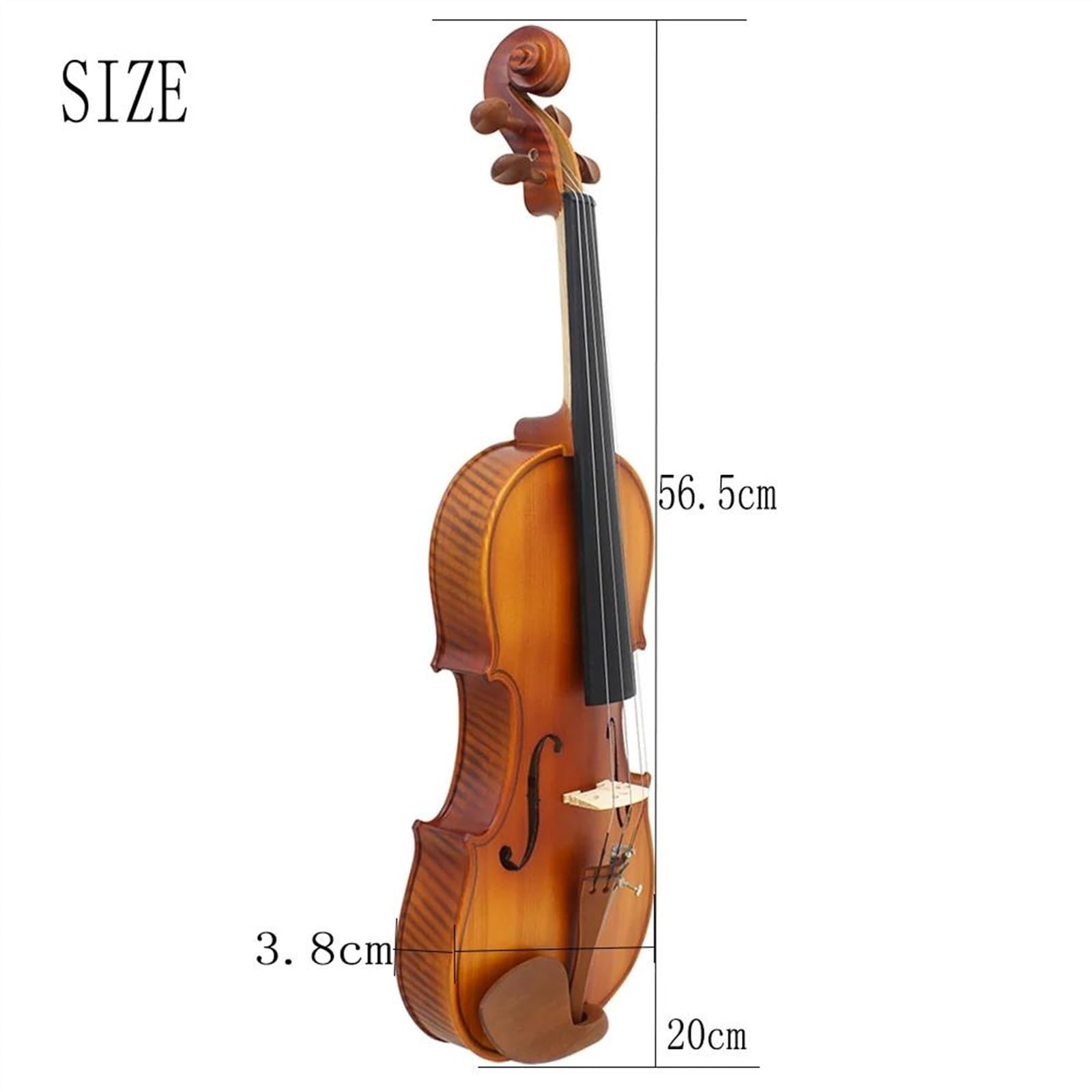 Geige Violine 4/4 3/4 1/2 Jujube Holz Helle Akustik(3-4)