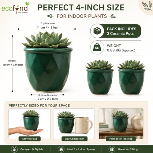 Image of ecofynd 4 Inch Ceramic Plant Pots with Drainage Hole, Modern Decorative Clay Flower Pots for Indoor Plants, Home Garden Decor for Living Room, Bedroom & Interior Spaces (Pack of 2, CPOT043-DGN)
