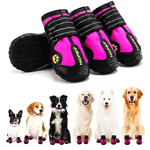 Best Winter Boots For Bulldogs Just HEALTHIER Bullies!