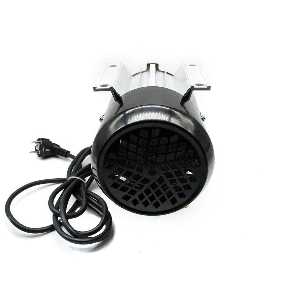 Pompa diesel 230V pompa per olio combustibile autoadescante pompa carburante diesel stazione di servizio pompa aspirazione olio 60L/min 2800 giri/min