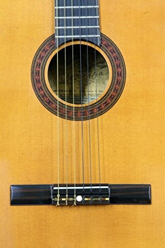 Musikalia VINTAGE Guitare »Calypso » modèle »Torres » Classique, de lutherie – Grands dimensions diapason cm 68 – construit entre 1960 et 1975 - Les Beatles, Paul McCartney, John Lennon, RIngo Starr, George Harrison Musikalia VINTAGE Guitare"Calypso" modèle"Torres" Classique, de lutherie - Grands dimensions diapason cm 68 - construit entre 1960 et 1975 – Image 6