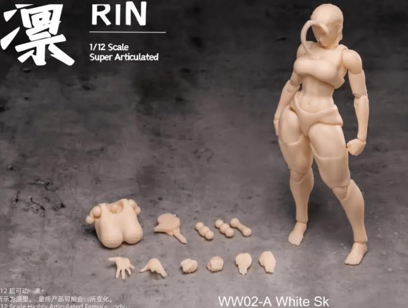 Amazon | [AC]鲸工坊 6インチ女性素体 凛RIN 白肌 WW02-A 可動