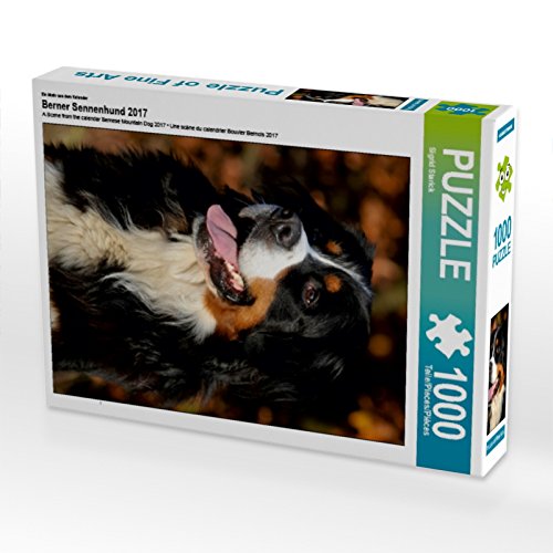 CALVENDO Puzzle Berner Sennenhund – 1000 Teile, 48x64 Cm, Premium-Qualität