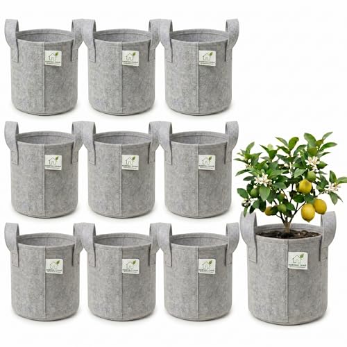 Image of 400 GSM Geo Fabric Round Grow Bags 10x10 Inch with Handle, Grey Planting Bags for Terrace and Kitchen Gardening Pack of 10