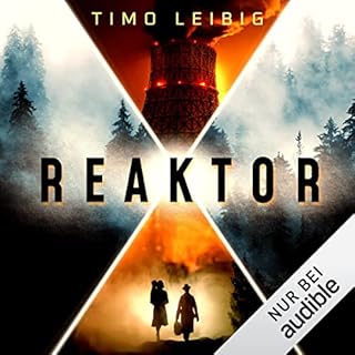 Reaktor Titelbild